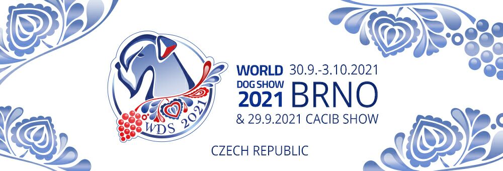 Logo WDS Brno 2021